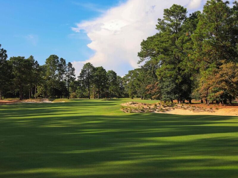 Pine Needles Golf Vacation Packages & Trips