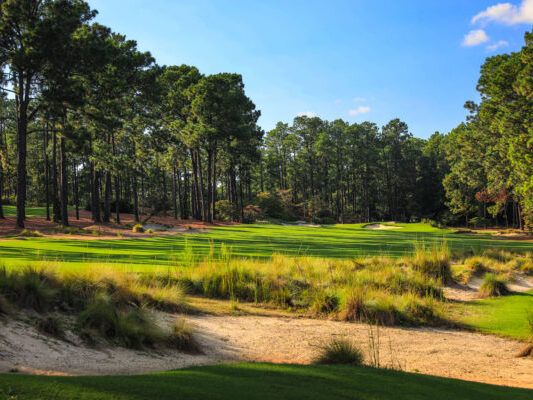 Pinewild Magnolia Course Vacation Packages & Trips