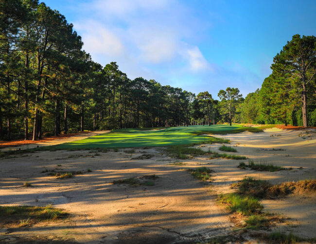 pine needles golf club